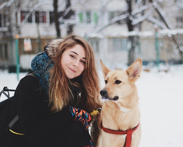 Ситтеры и волкеры: кто они такие, и почему им можно доверить свою собаку