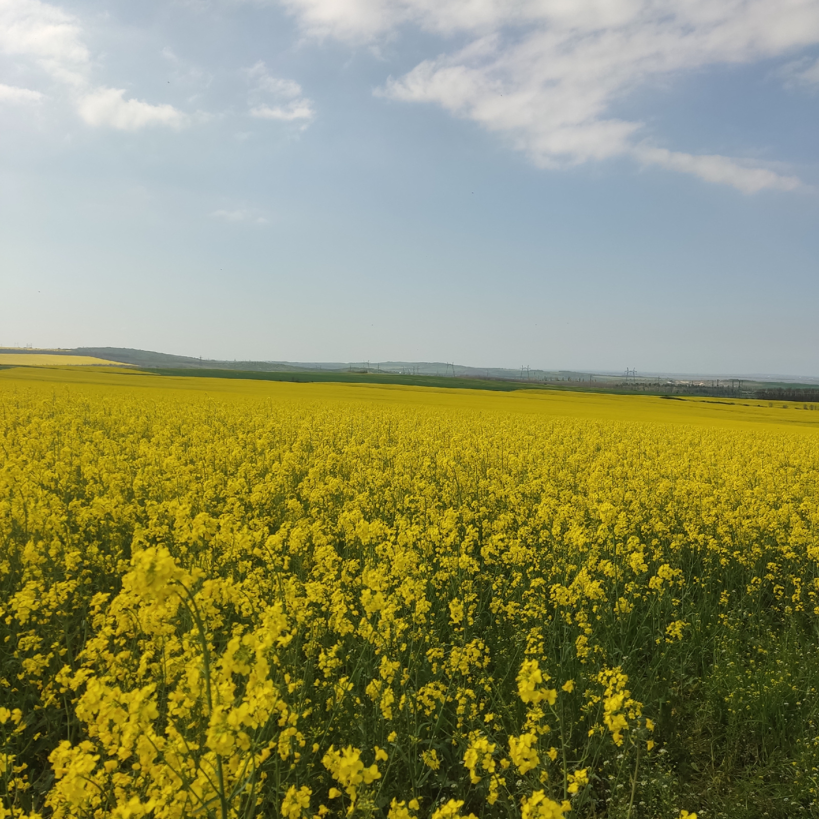 Путешествие на автомобиле к морю сегодня: в чем главные сложности