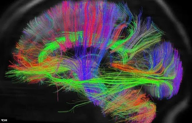 Цифровой аутизм. Как возникает и как с ним бороться?