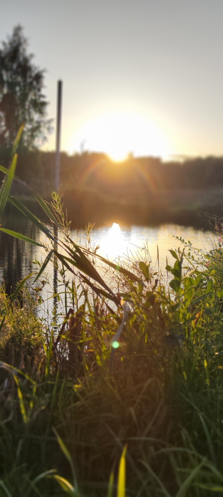 Кому надоели серьёзные темы, немного юмора из жизни: Как я оставила друзей без улова на рыбалке