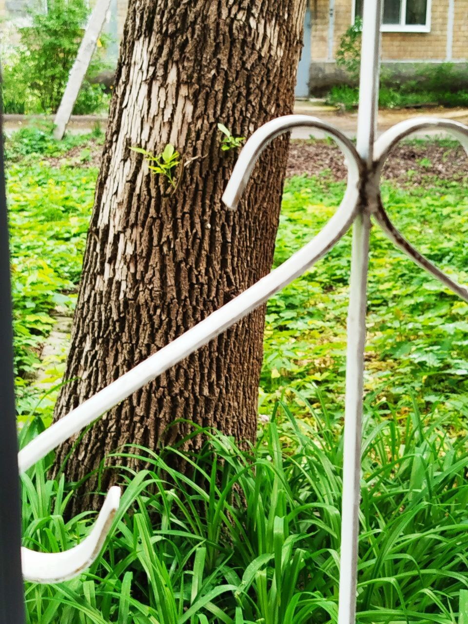 Поможет ли приложение «Решаем вместе» решить мою проблему? Написала обращение!