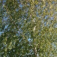 Татьяна, г. Подольск