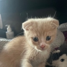 Данил, г. Сургут