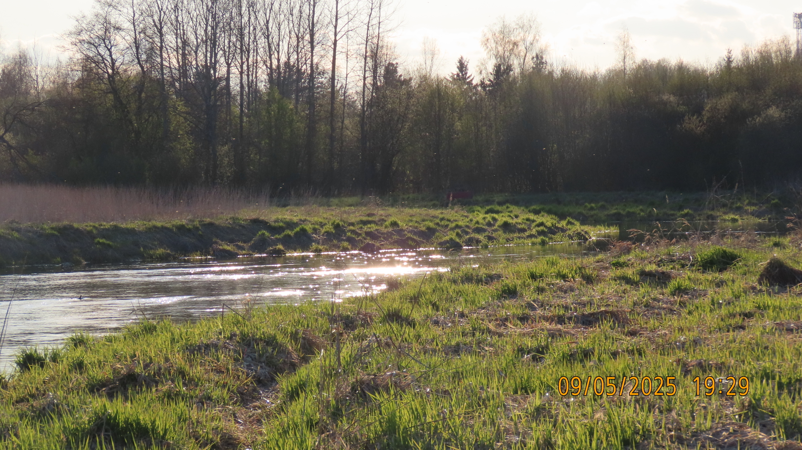 9 мая 2025 в Межстоличье. Вечная память воинам ВОВ