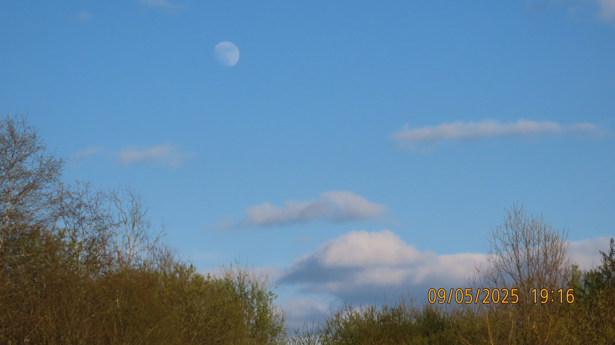 9 мая 2025 в Межстоличье. Вечная память воинам ВОВ