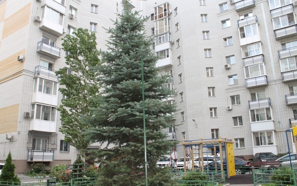 Правда ли это?Или как тайное становится явным