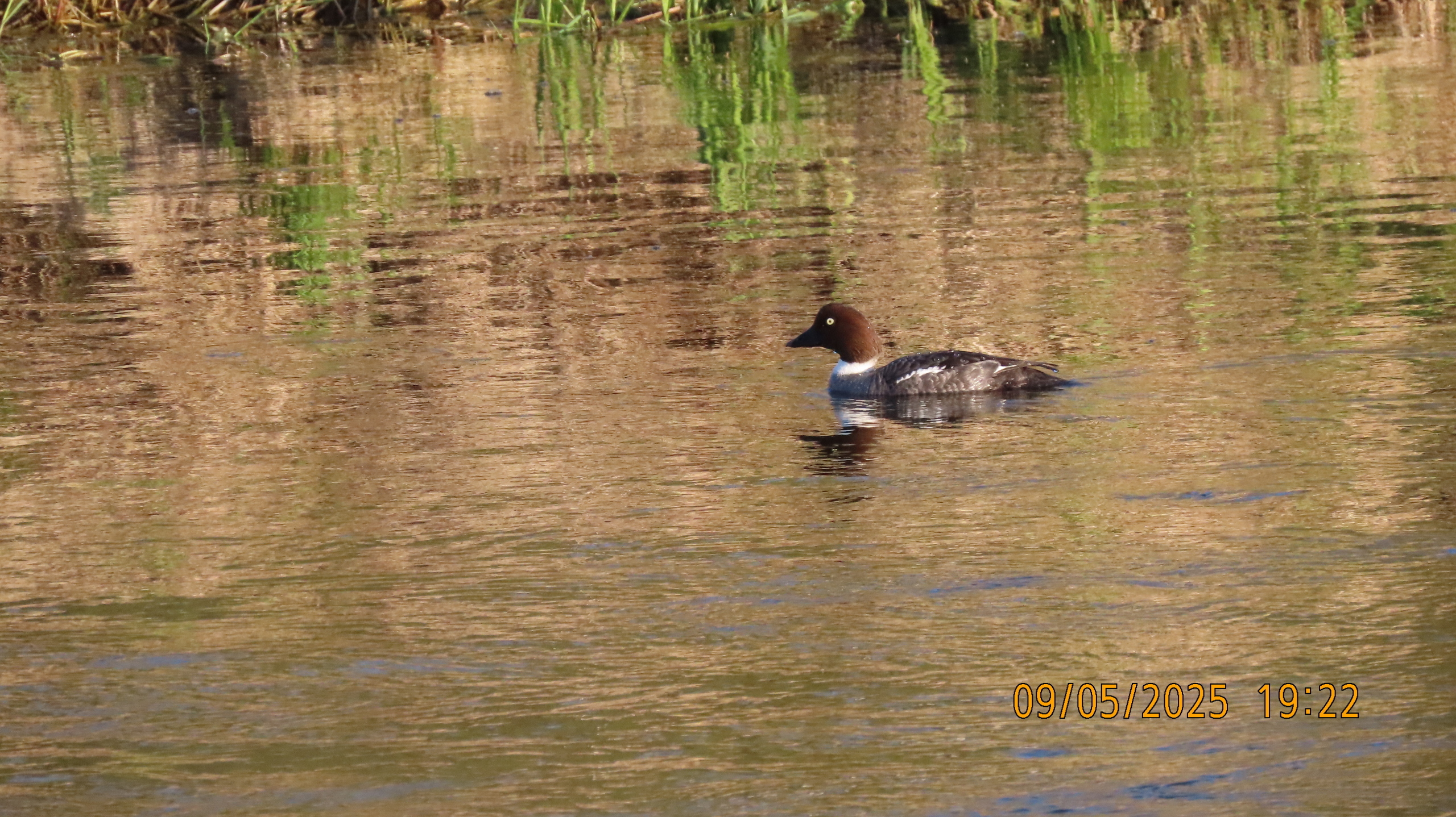 9 мая 2025 в Межстоличье. Вечная память воинам ВОВ