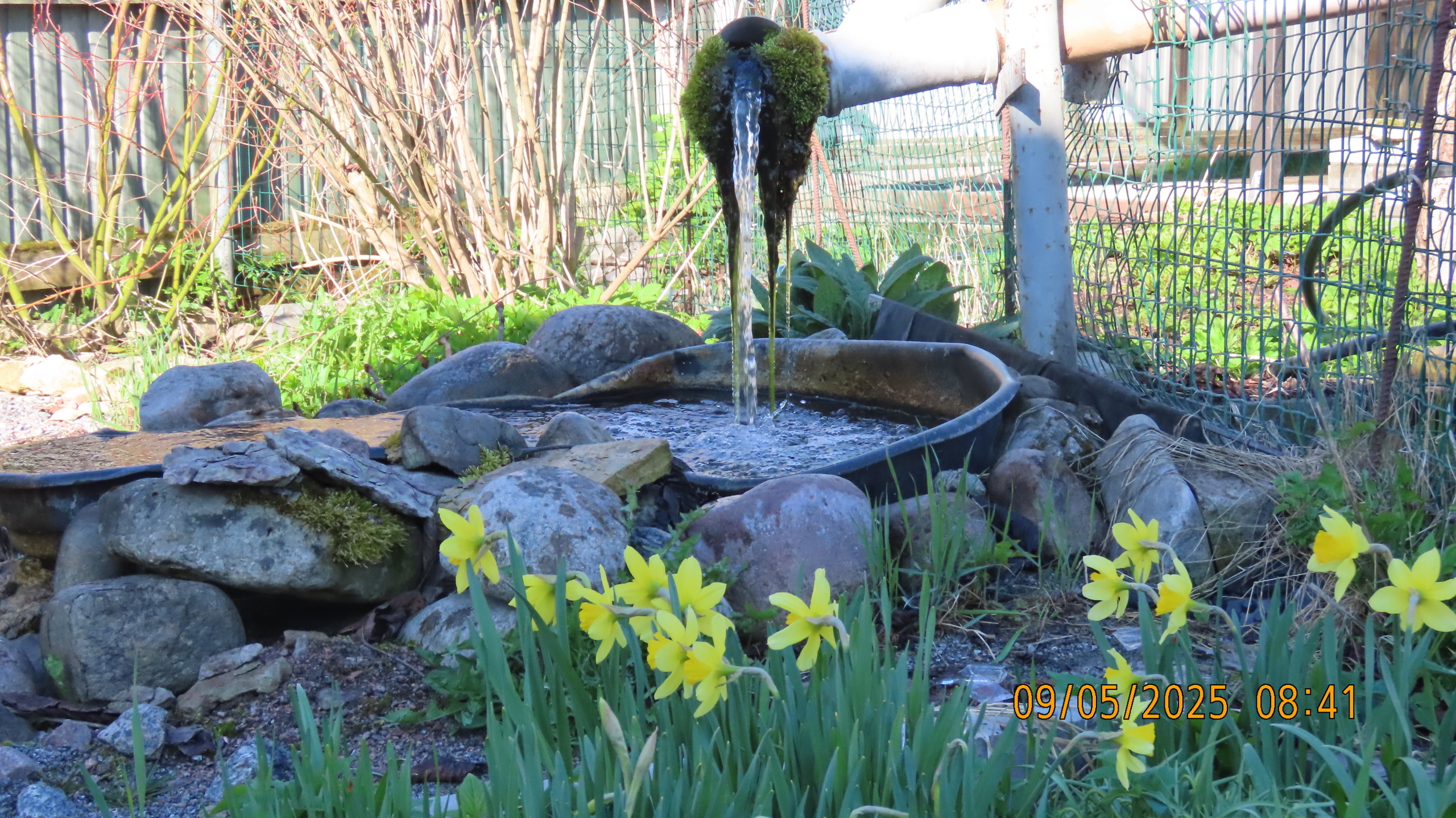 9 мая 2025 в Межстоличье. Вечная память воинам ВОВ