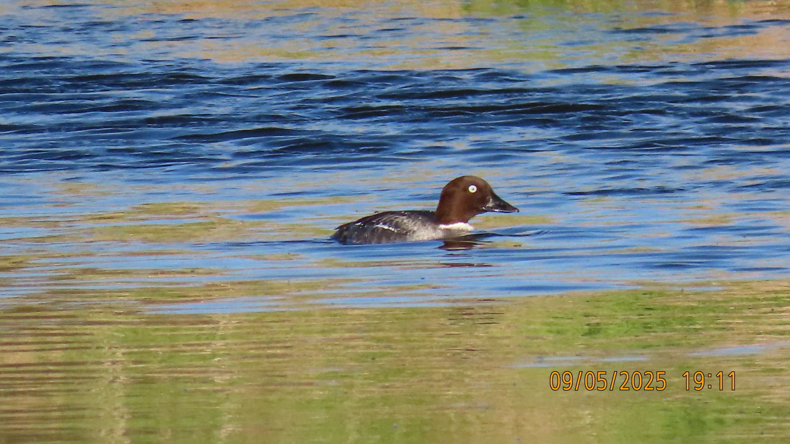 9 мая 2025 в Межстоличье. Вечная память воинам ВОВ