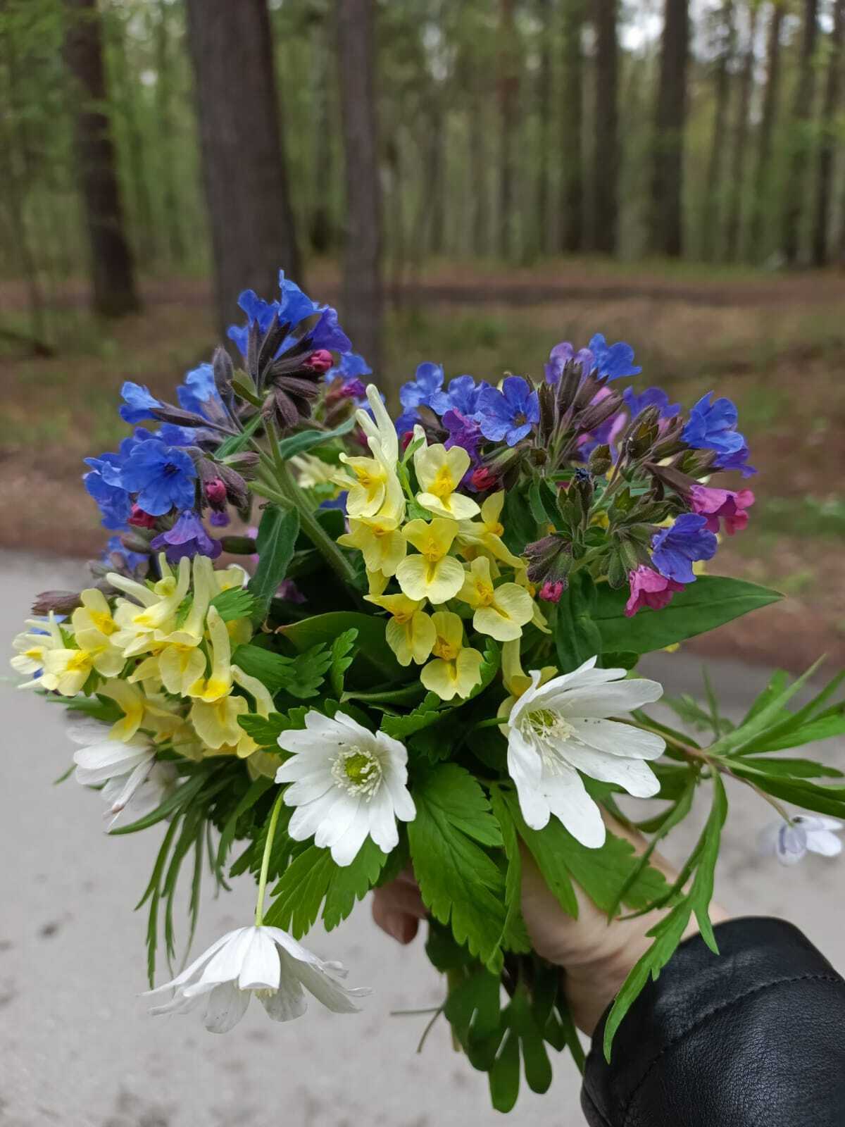 Весеннее настроение!!!