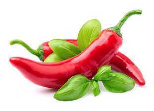 Тля дуреет с этой прикормки: забытый советский лайфхак, который уничтожит паразитов на раз-два