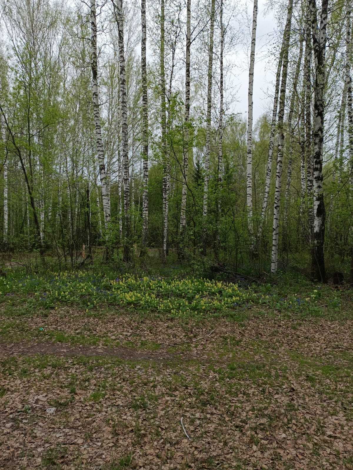 Весеннее настроение!!!