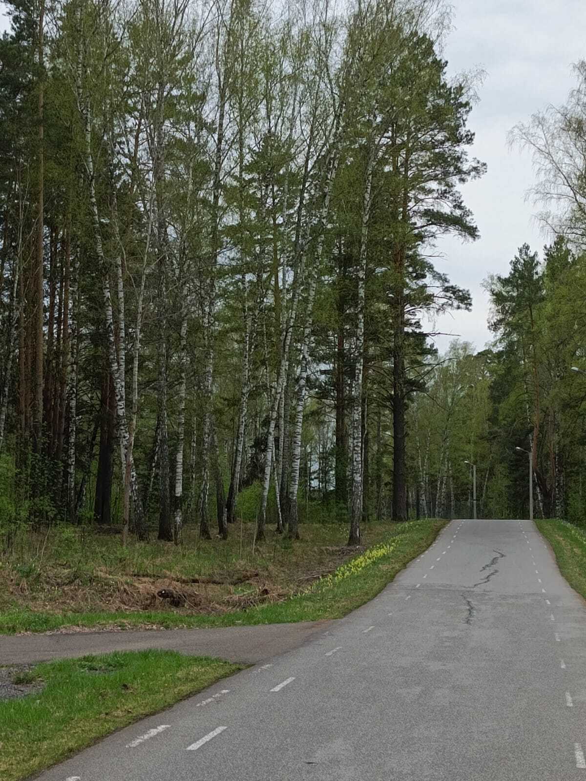 Весеннее настроение!!!