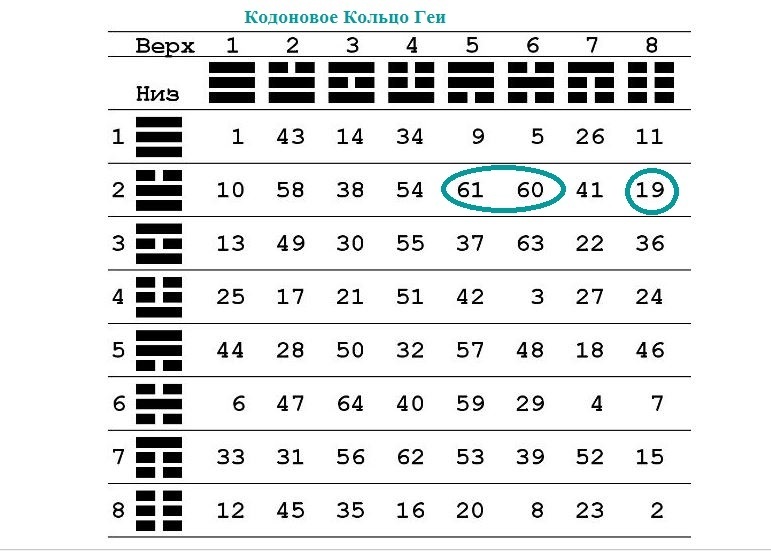А были ли кодоновые кольца?
