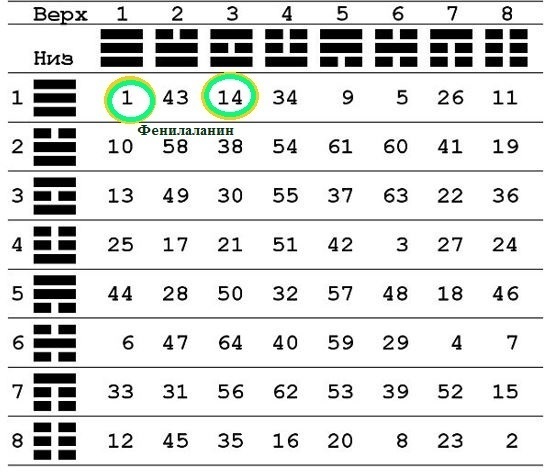 20 аминокислот в таблице И-Цзин