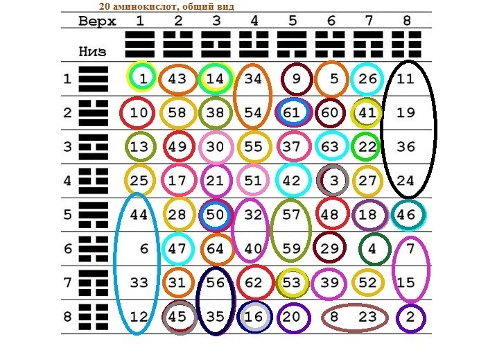 20 аминокислот в таблице И-Цзин
