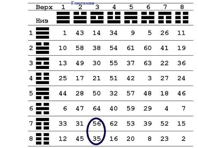 20 аминокислот в таблице И-Цзин