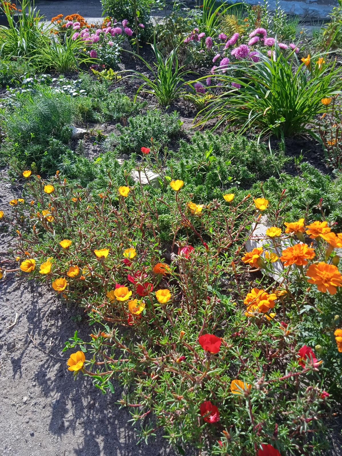 "Красота спасет мир": как мне удалось создать красивую клумбу и небольшой сад под окнами своей квартиры