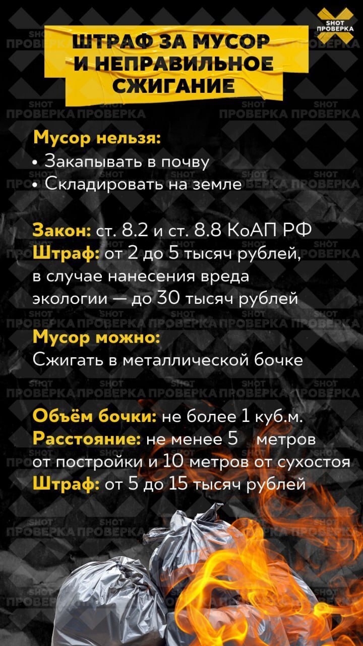 От 2,5 до 5 тысяч рублей за штуку: россиянам грозят крупные штрафы за сбор редких грибов. Какие проходим мимо?