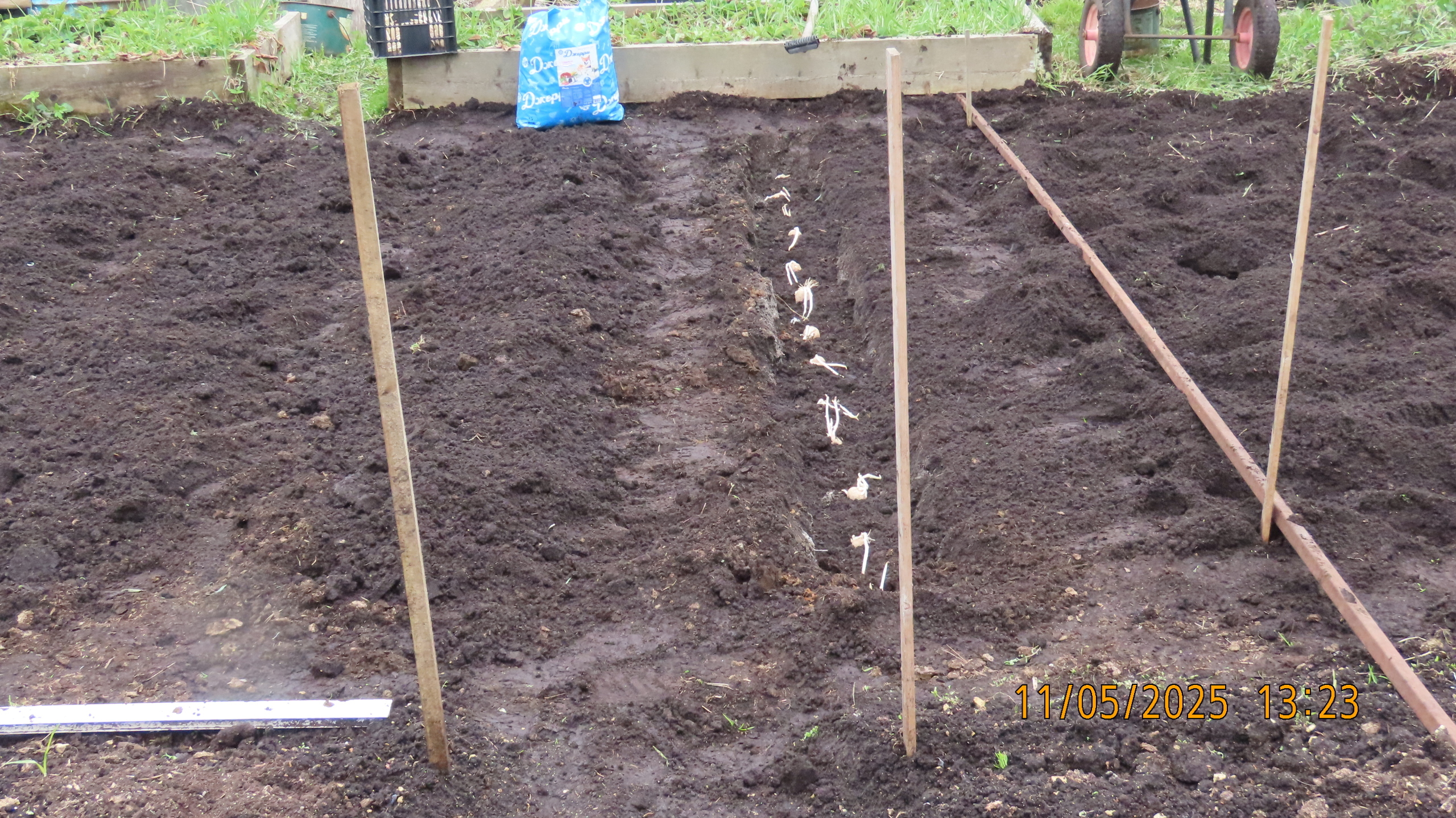 Опять страсти по мангалам.