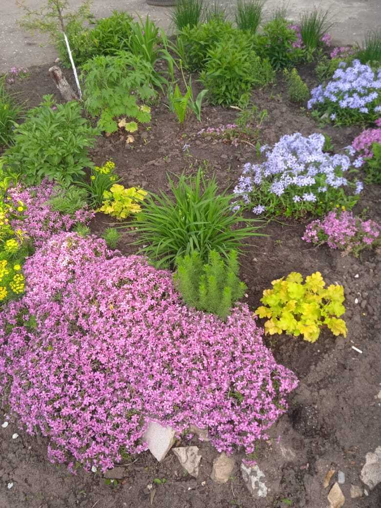 "Красота спасет мир": как мне удалось создать красивую клумбу и небольшой сад под окнами своей квартиры