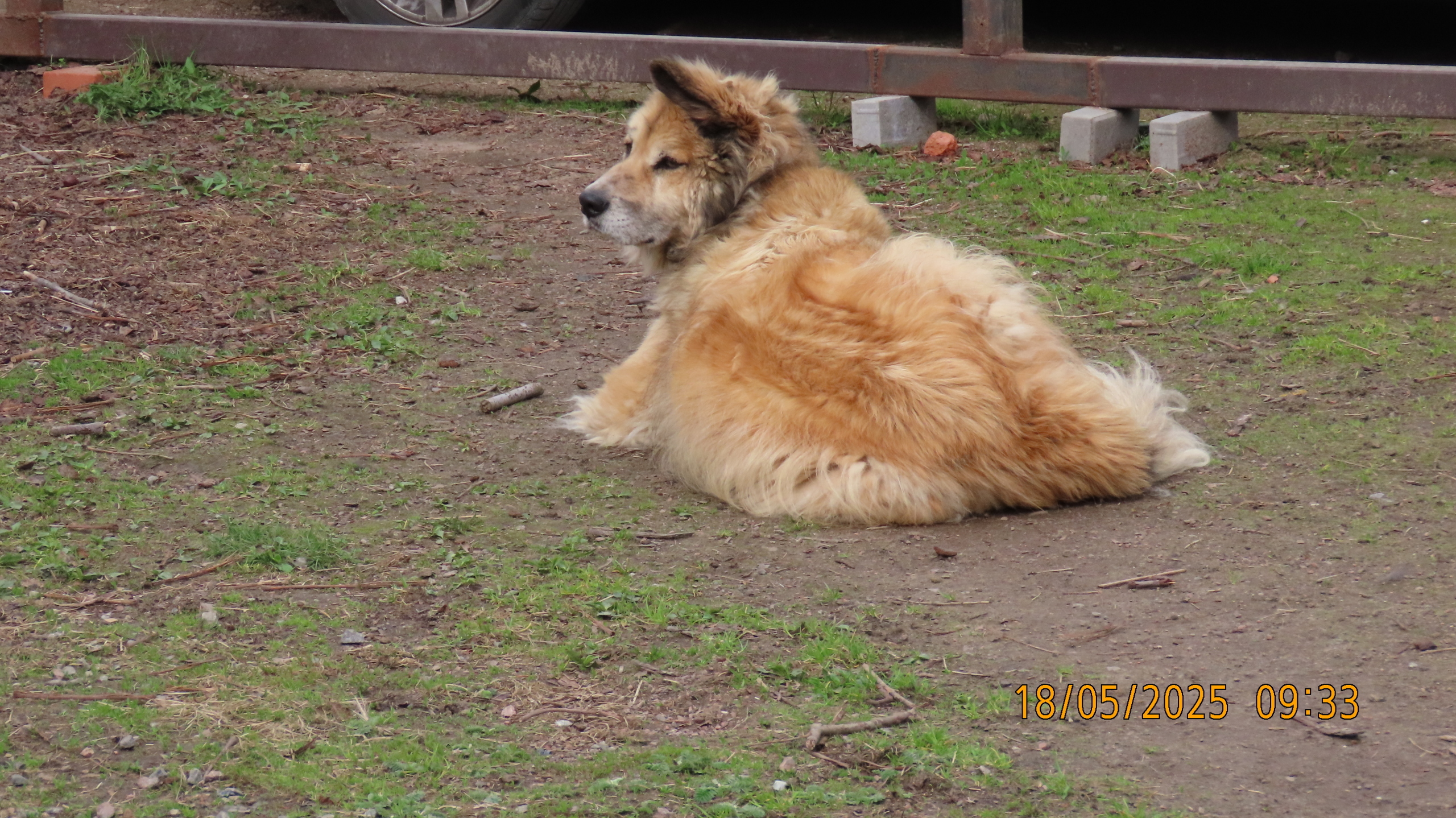 Опять страсти по мангалам.