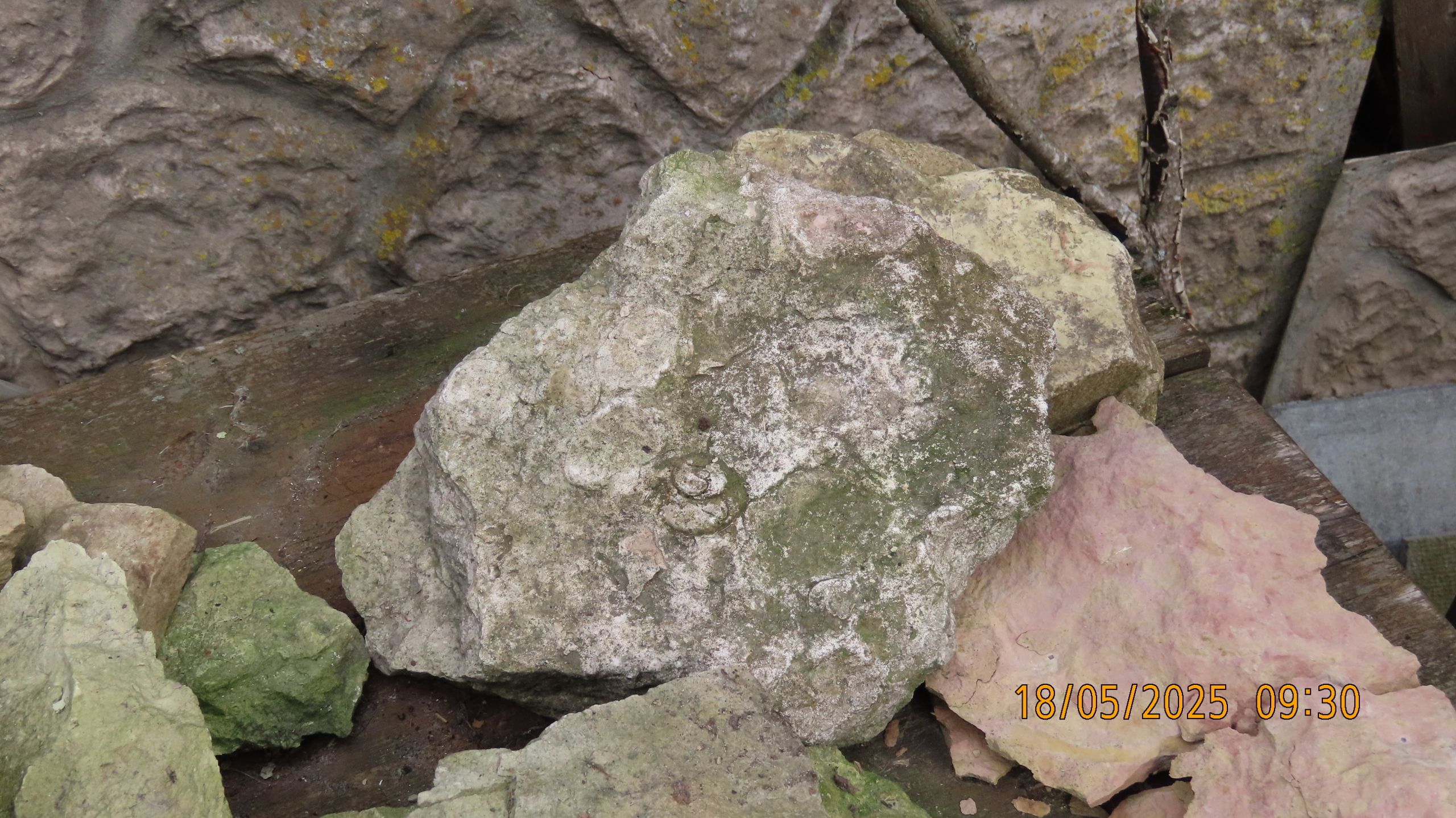 Опять страсти по мангалам.