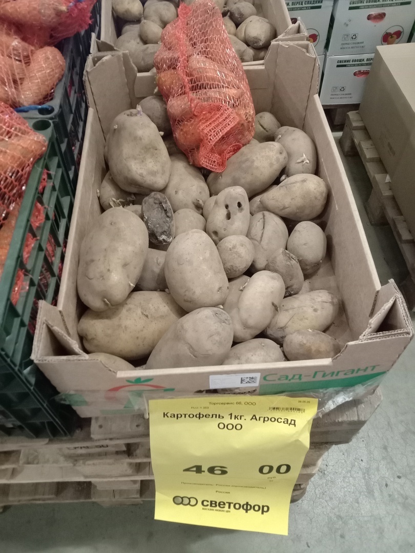 Показываю, сколько стоит картошка на Урале и какую покупаем мы