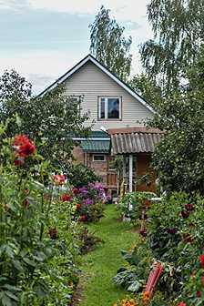 Росреестр объявил размер новых штрафов для дачников, кому приготовиться