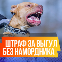 6772f1359456a9bf31f482debfbe0036.jpg