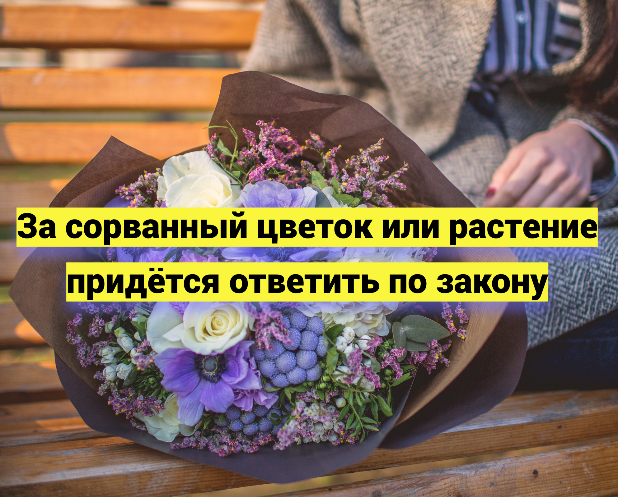 За сорванный цветок или растение придётся ответить по закону