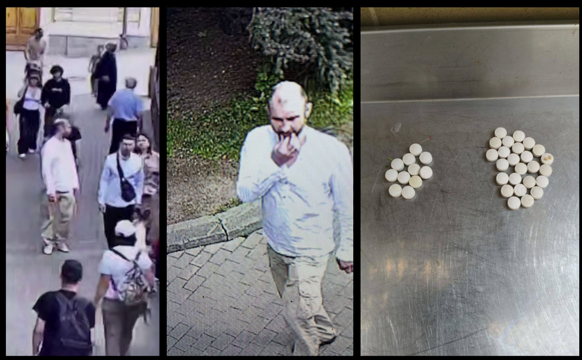 🦁Когда валерьяна не лечит: правовые последствия "кошачьего релакса" в зоопарке