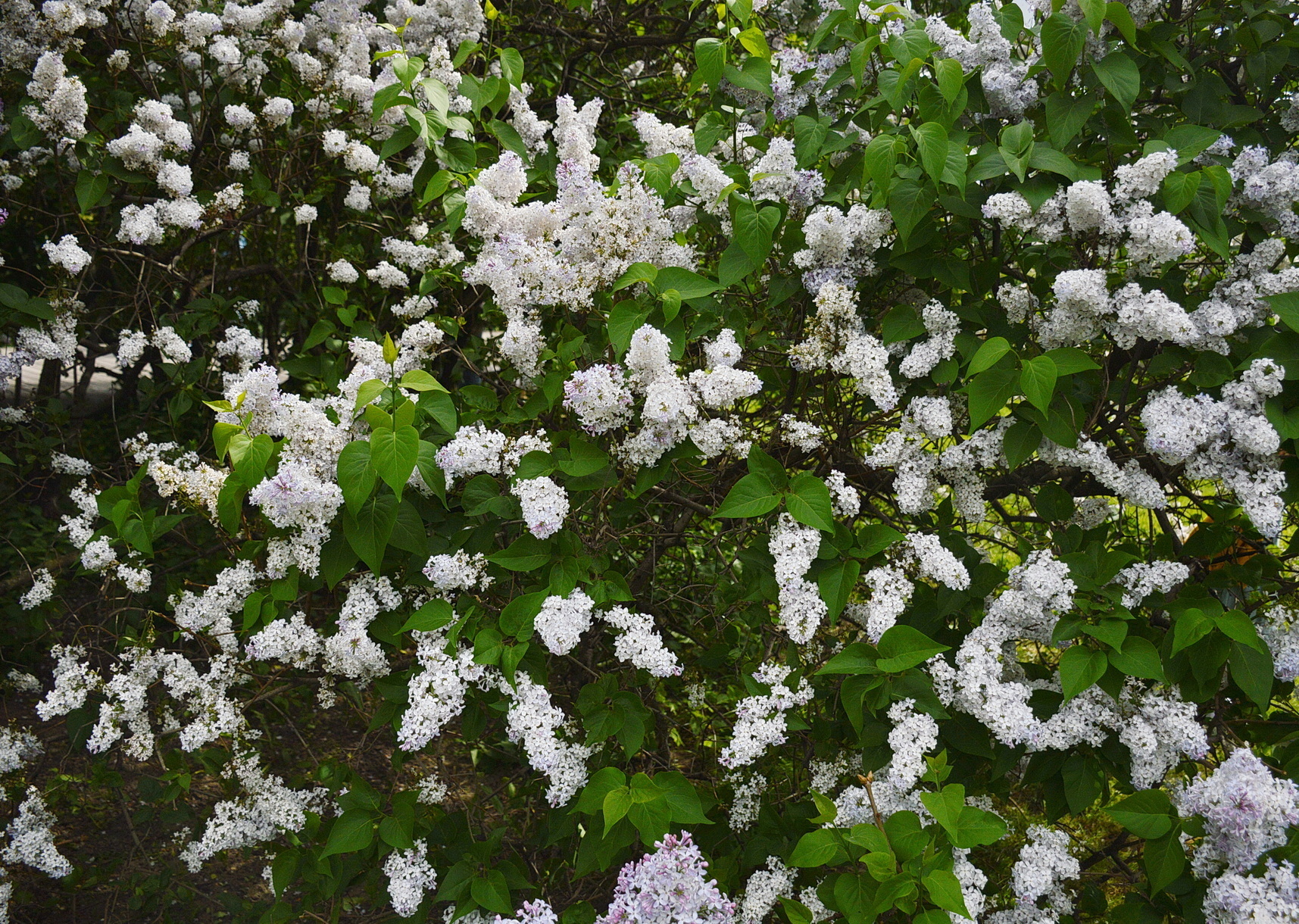 Праздники третьего с конца