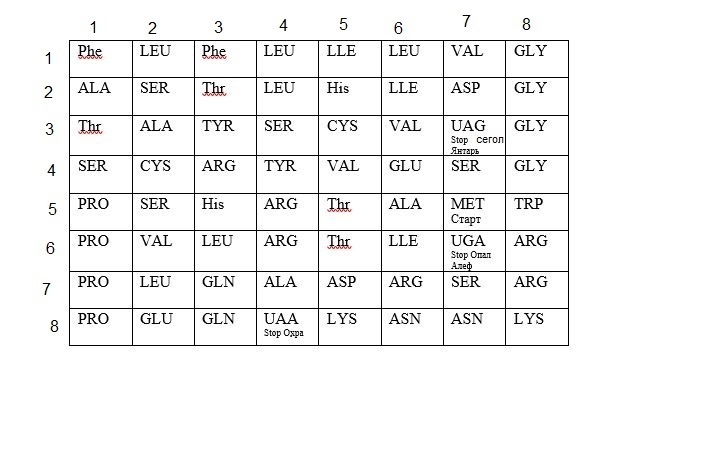 Сравнительный анализ 64 кодонов на основе книг Ричарда Радда "Генные Ключи" и Дж. Хуртак "Ключи Еноха"