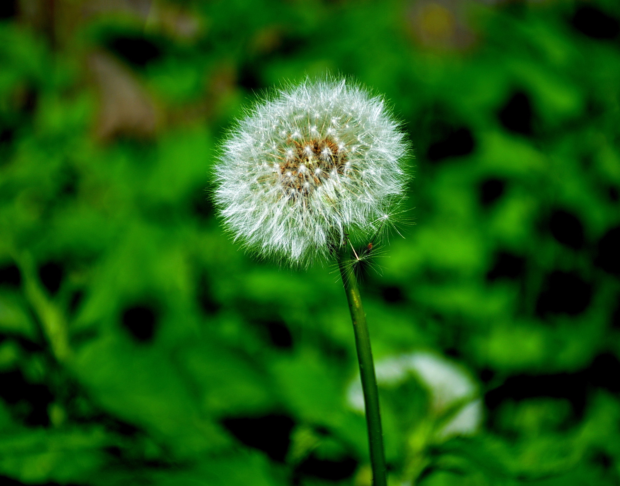 Датчане будут выходить на пенсию позже всех