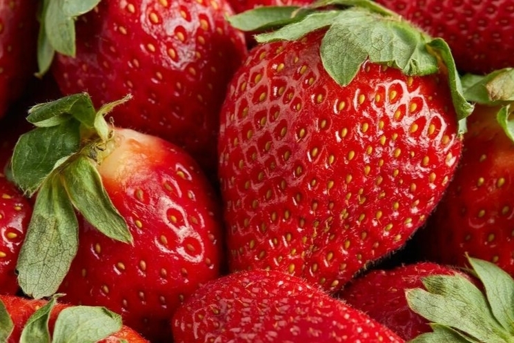 Клубника не ягода.