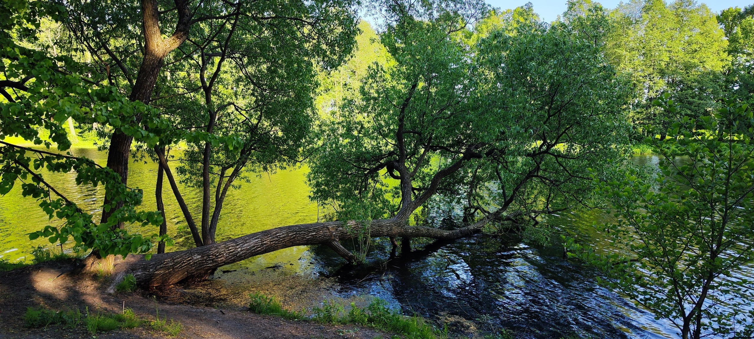 Собираетесь в Санкт-Петербург? Посетите ЦПКиО им. С.М. Кирова на Елагином острове