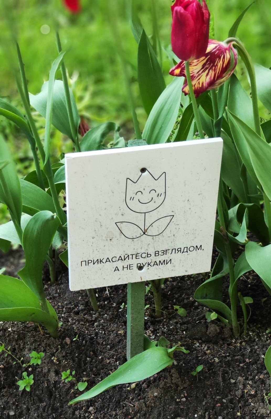 ЦПКиО на Елагином острове. Часть 2