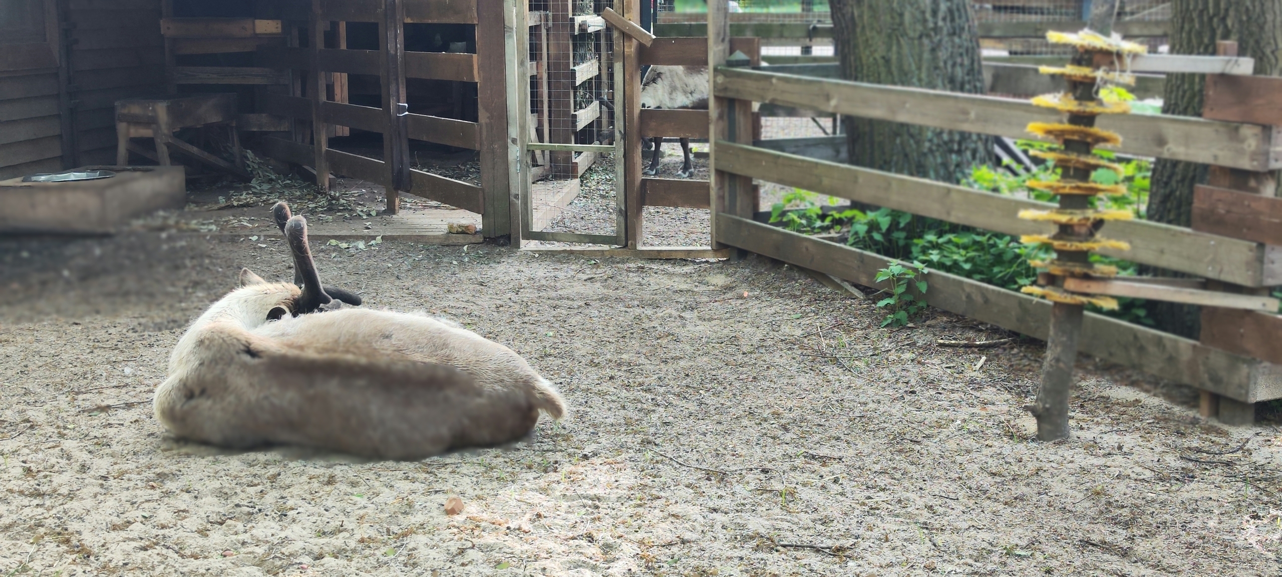 ЦПКиО на Елагином острове. Часть 2