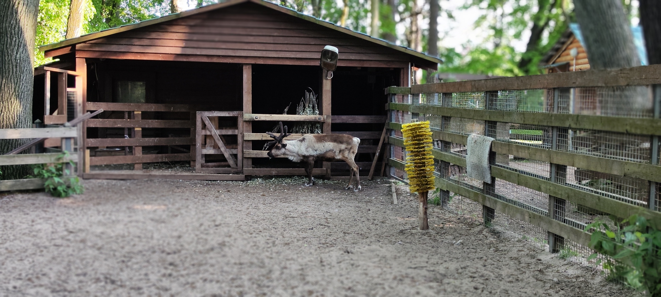 ЦПКиО на Елагином острове. Часть 2