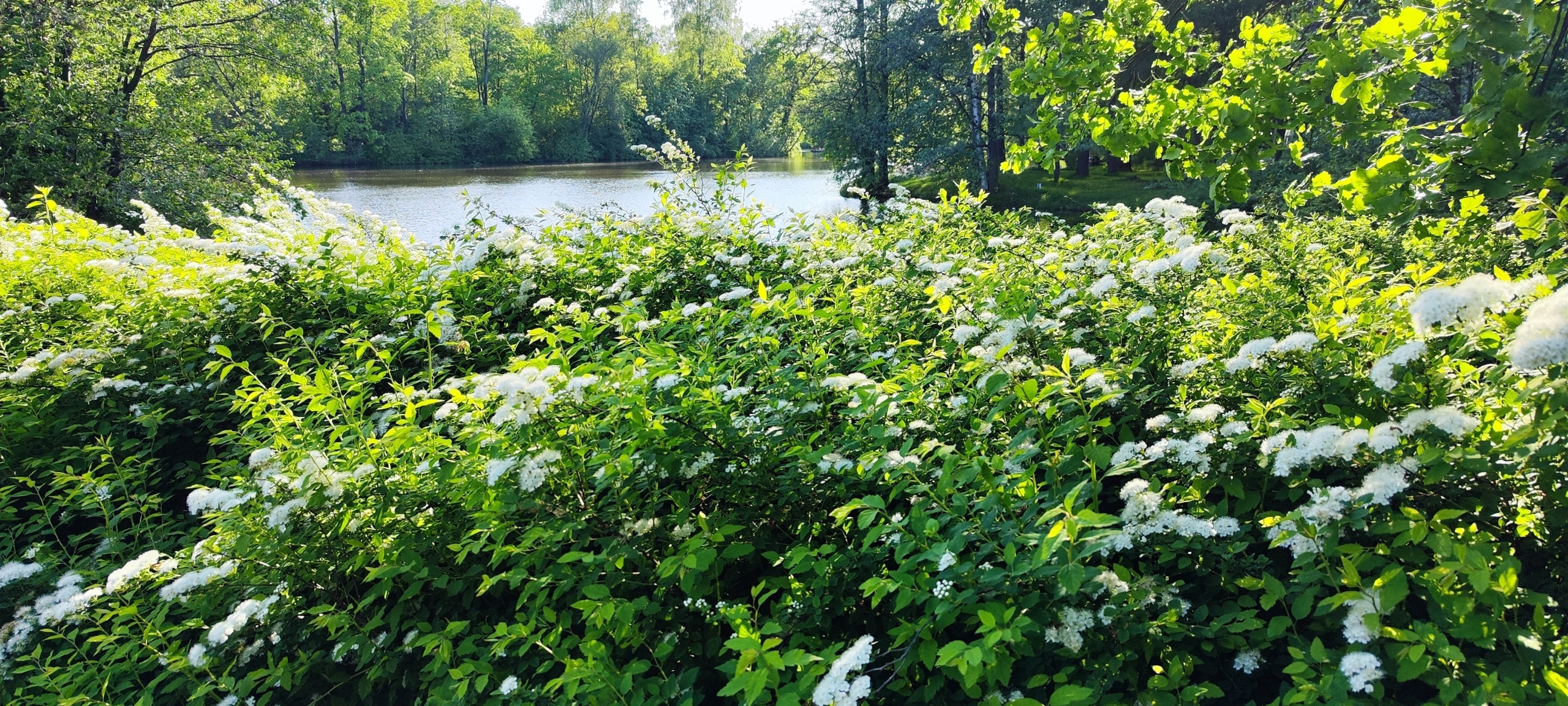 Собираетесь в Санкт-Петербург? Посетите ЦПКиО им. С.М. Кирова на Елагином острове