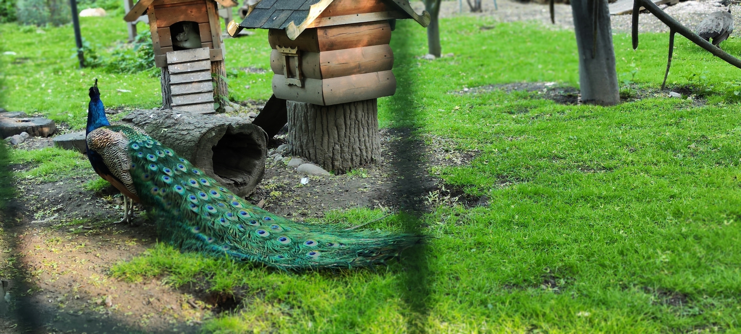 ЦПКиО на Елагином острове. Часть 2