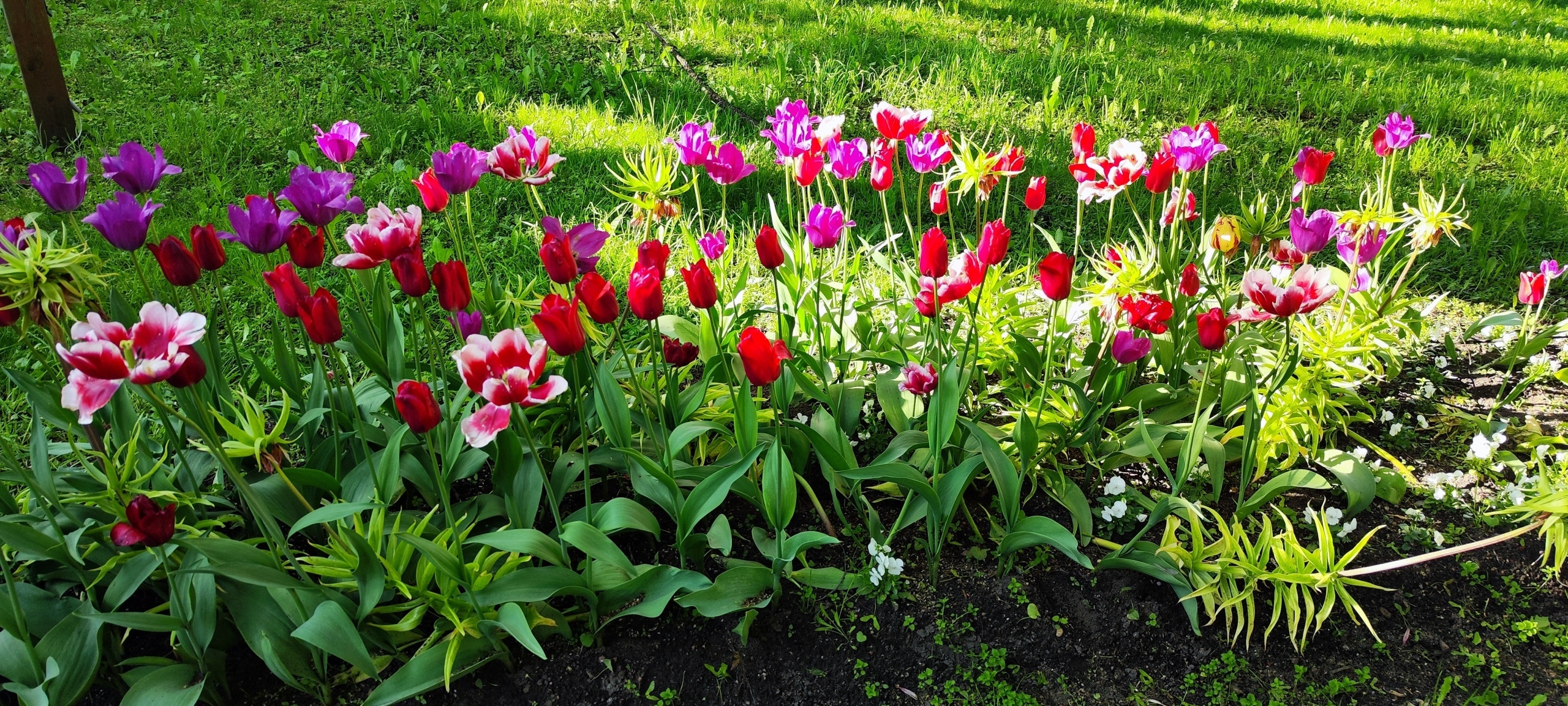 ЦПКиО на Елагином острове. Часть 2