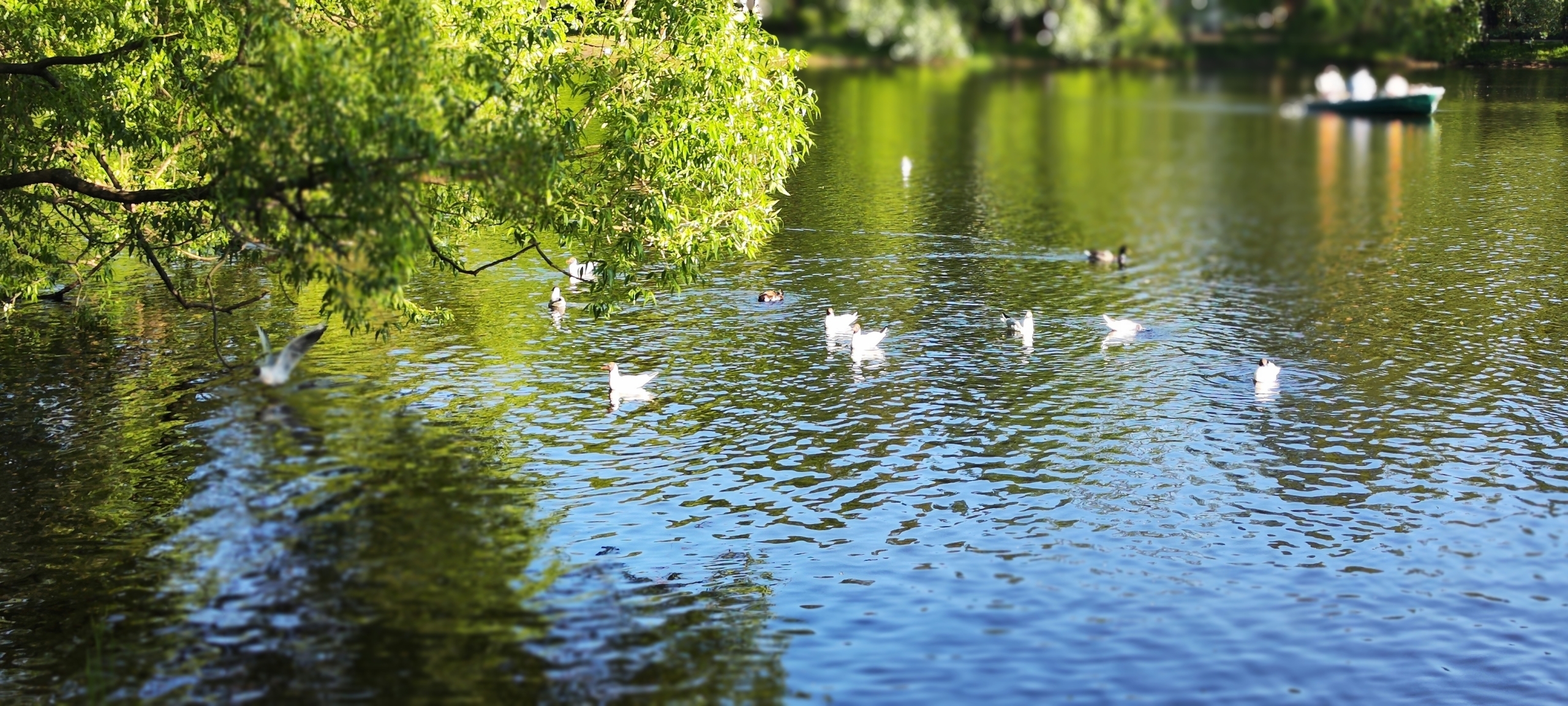 ЦПКиО на Елагином острове. Часть 2