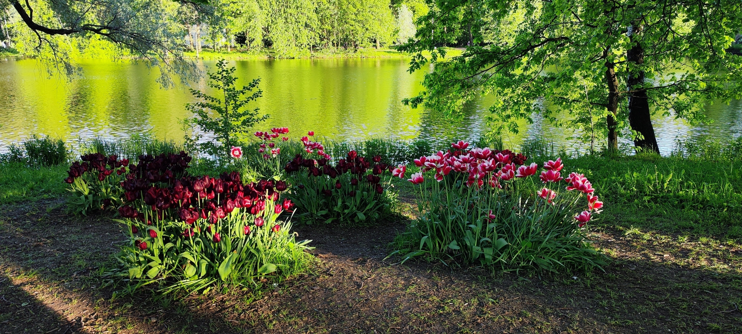 Собираетесь в Санкт-Петербург? Посетите ЦПКиО им. С.М. Кирова на Елагином острове