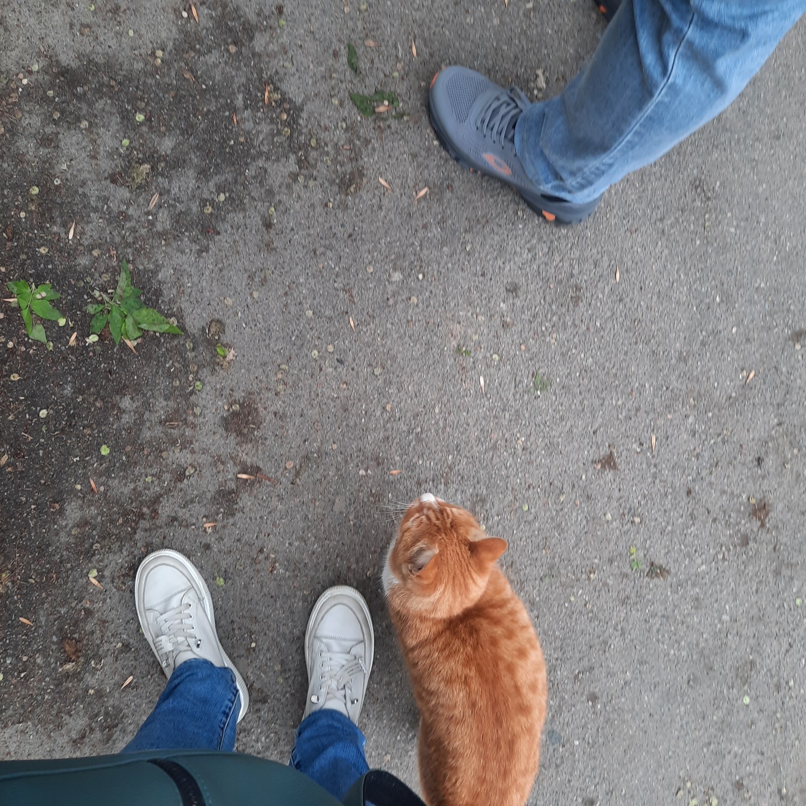 Осторожно, мошенники. "Безопасные счета"