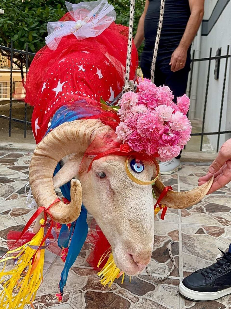 Турецкая традиция, которая вызывает у меня горечь, слёзы и низкое давление