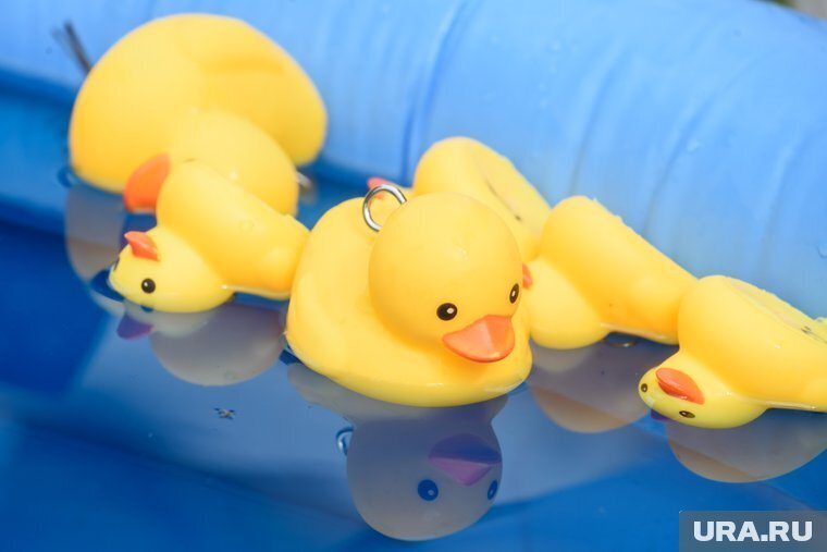 Какие праздники нас ожидают завтра - 5 июня