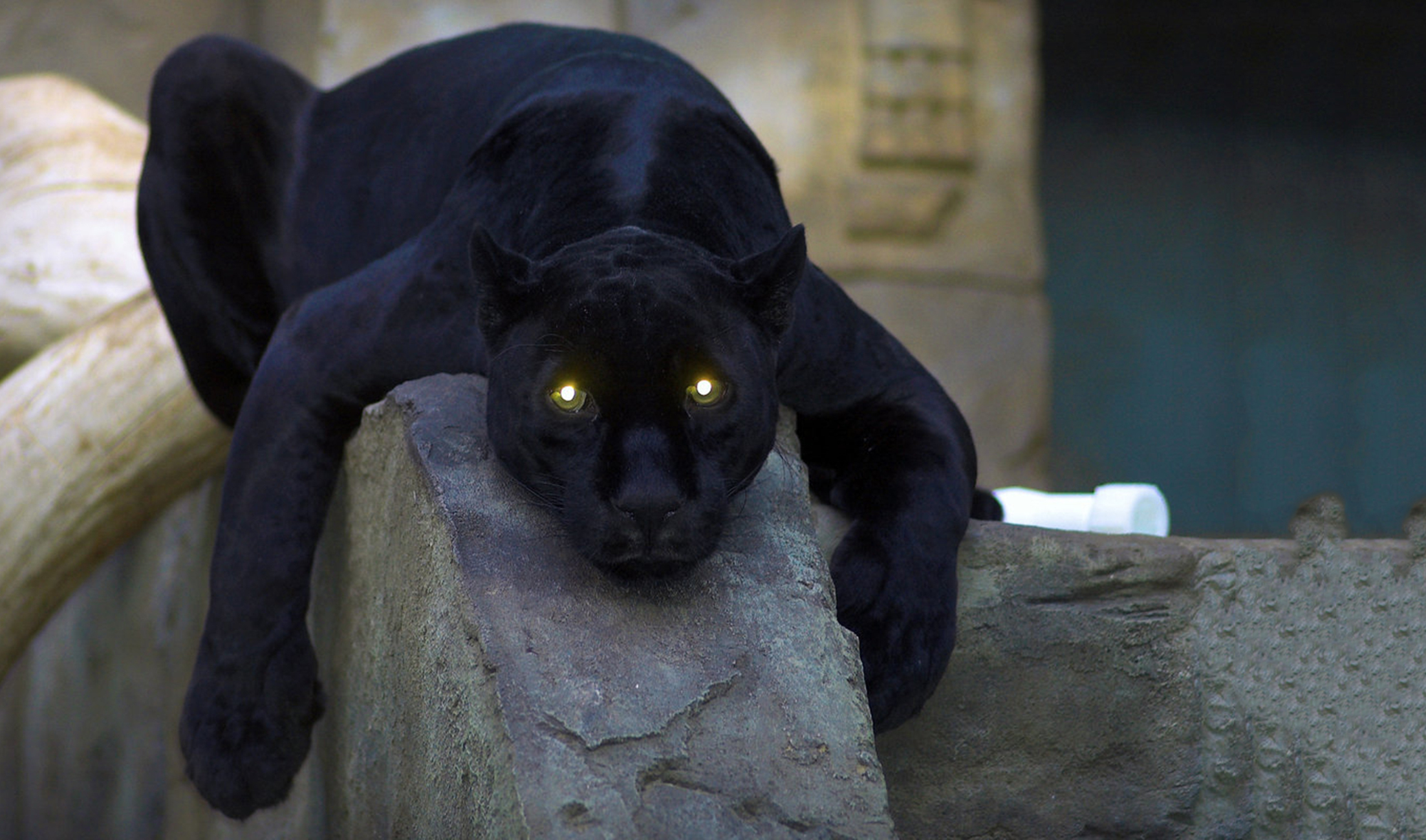 Магия, жизнь, сон в руку и одна очень страшная история! Или как меня чуть не съели...
