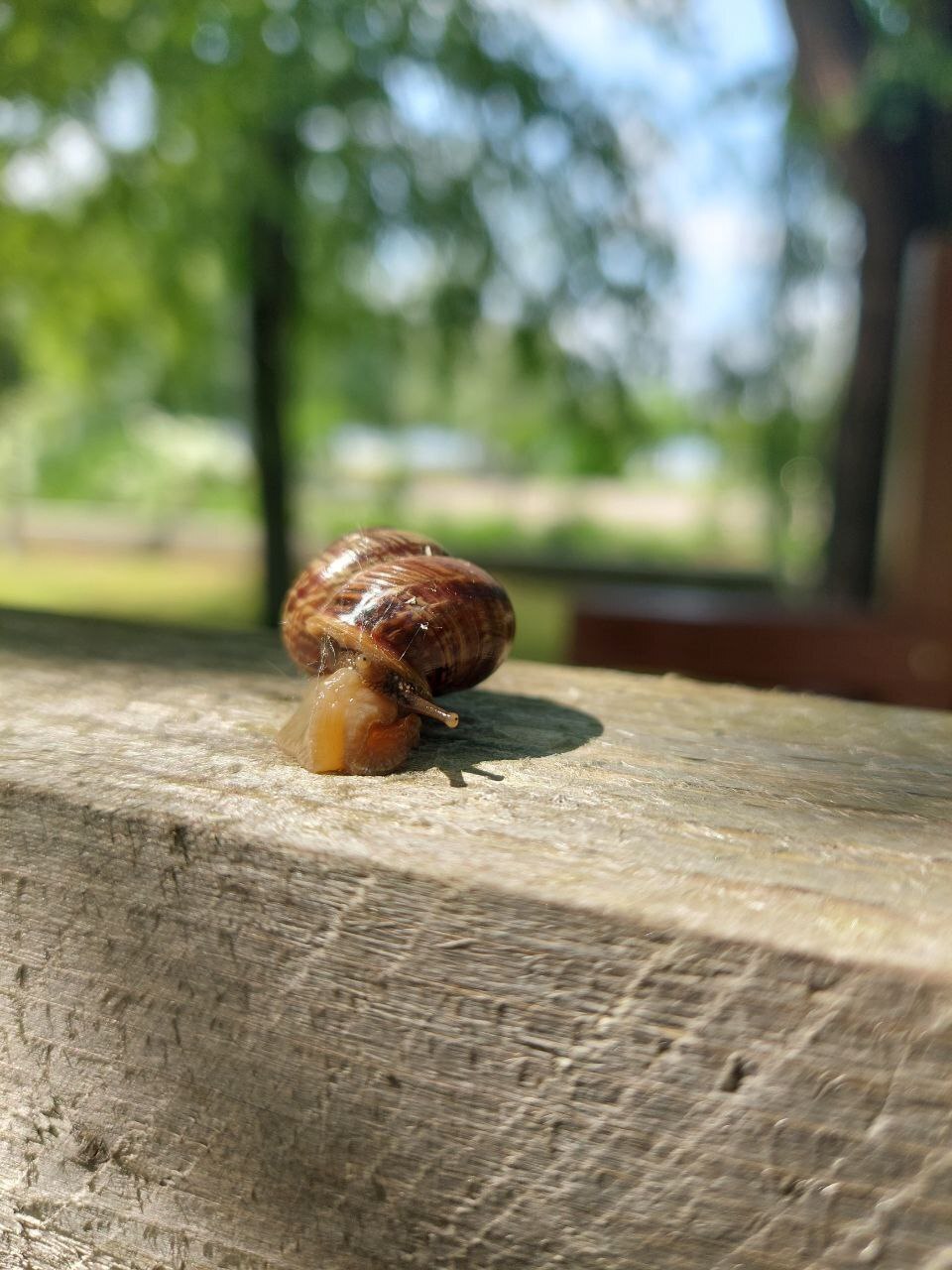 «Опять двадцать пять» / «Времена и Эпохи»